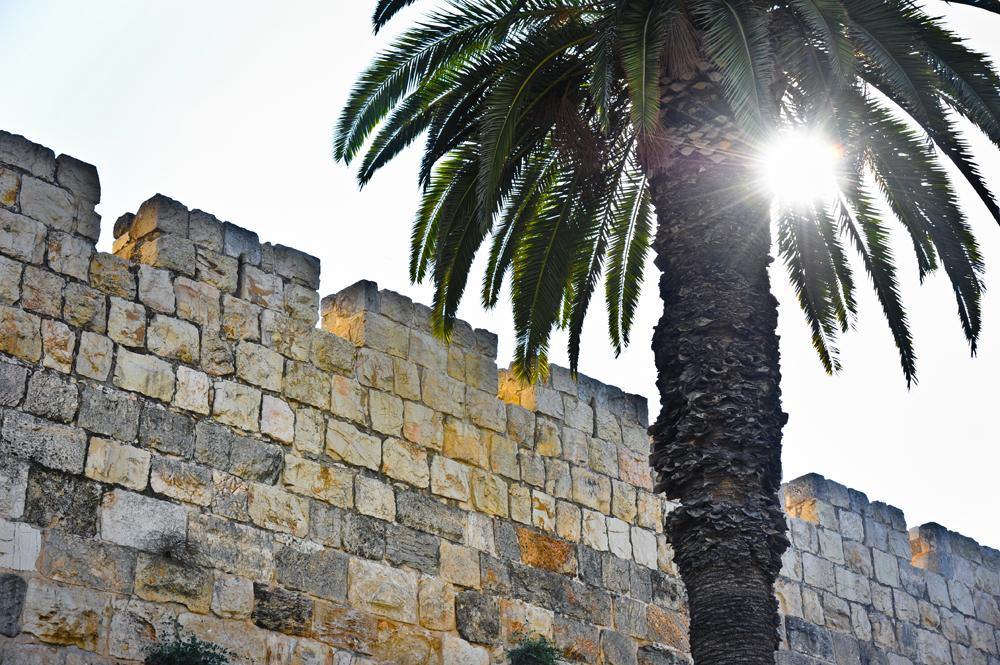 Temporibus autem quibusdam - Jerusalem Publications